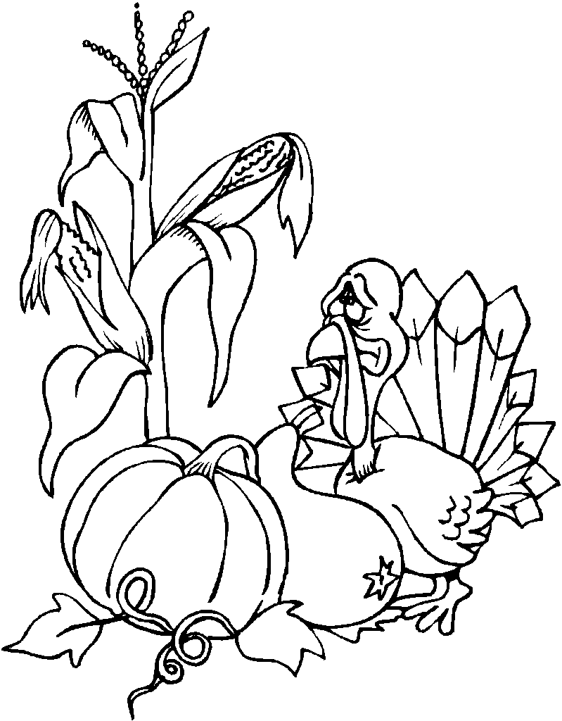 Pavo #7793