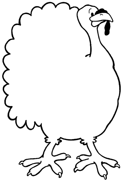 Pavo #7797