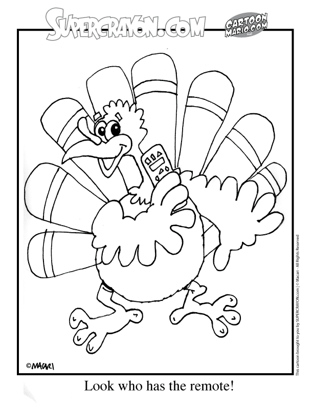 Pavo #7800