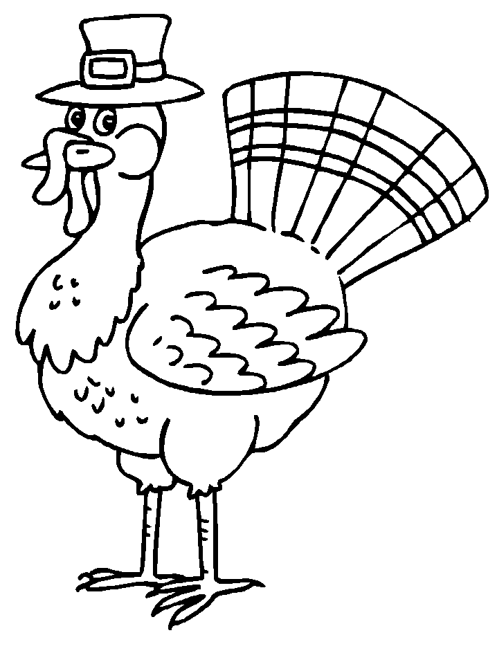 Pavo #7801