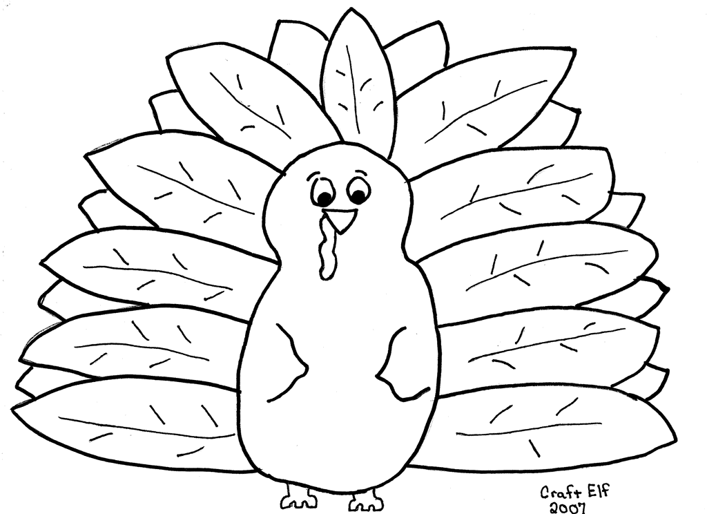 Pavo #7803
