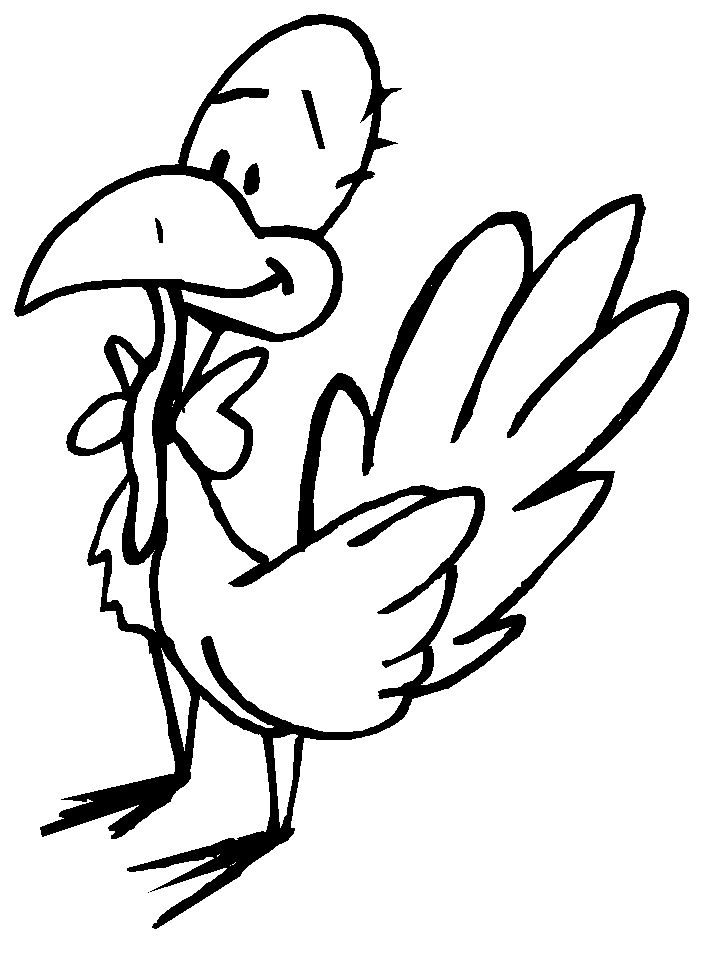 Pavo #7805