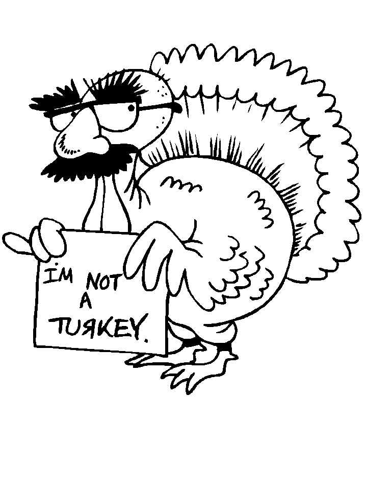 Pavo #7808