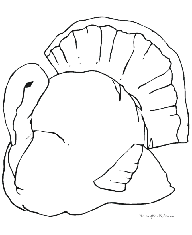 Pavo #7811