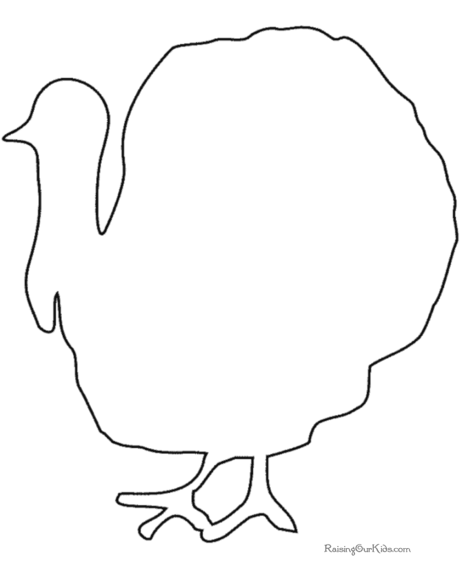 Pavo #7814