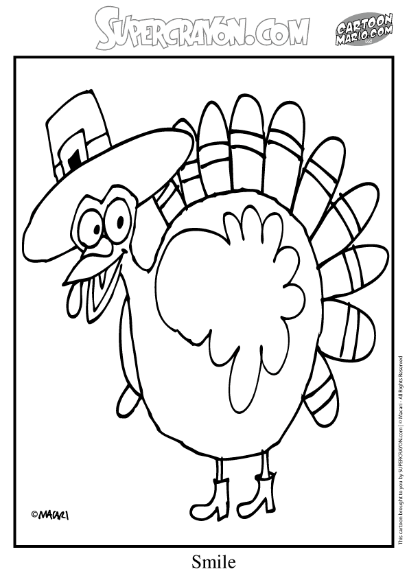 Pavo #7815