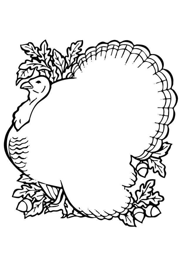 Pavo #7819