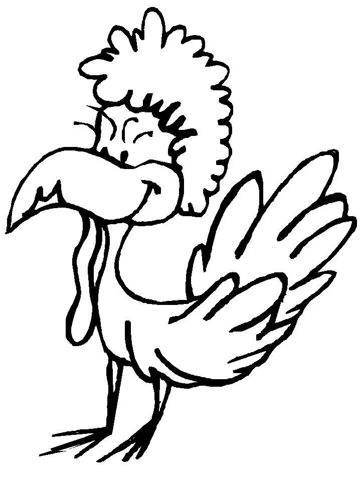Pavo #7821