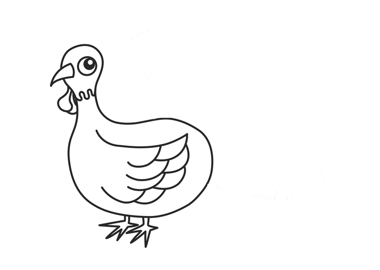 Pavo #7822