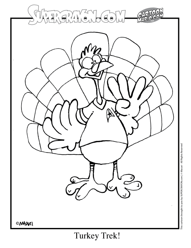 Pavo #7823
