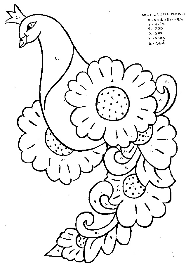 Pavo #7826