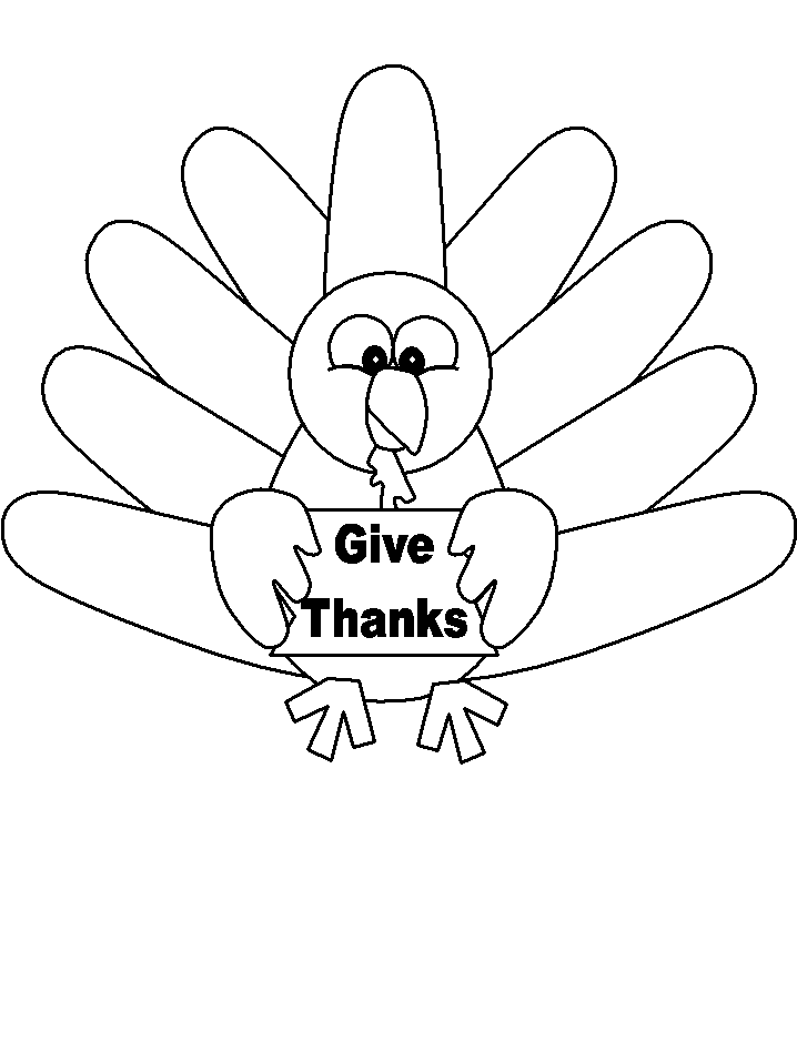 Pavo #7828