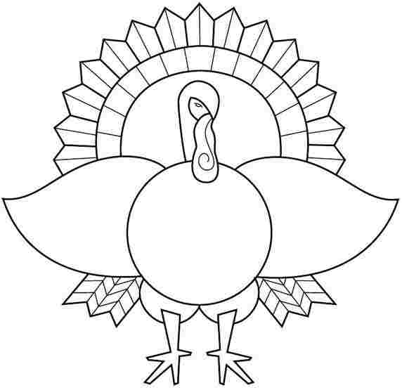Pavo #7835