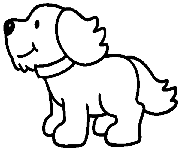 Perro #7840