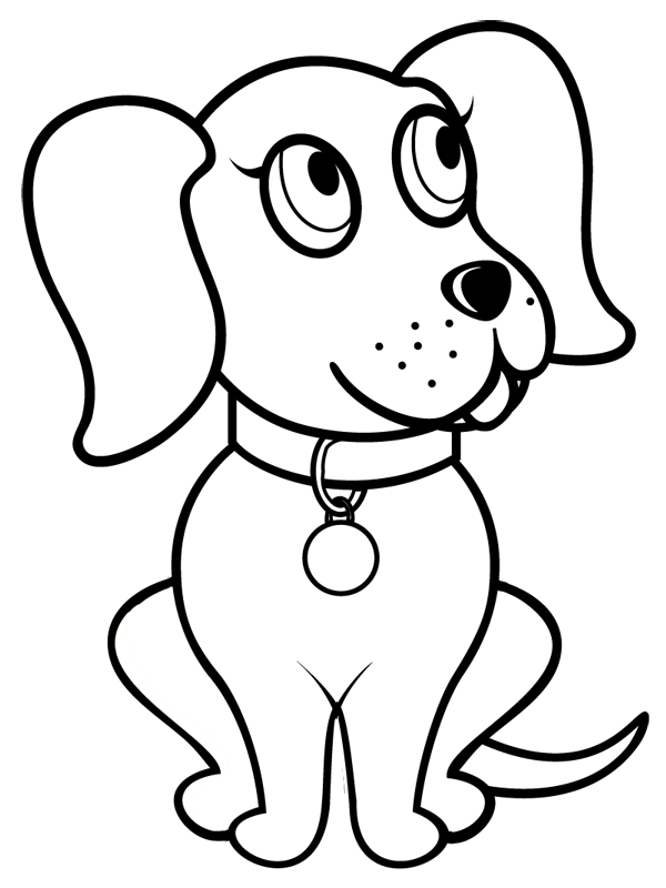 Perro #7843