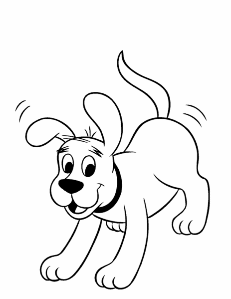 Perro #7844