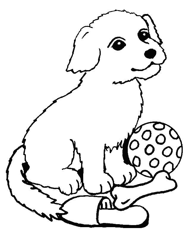 Perro #7845