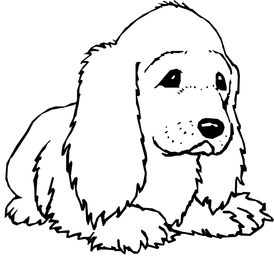 Perro #7848