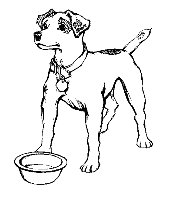 Perro #7853