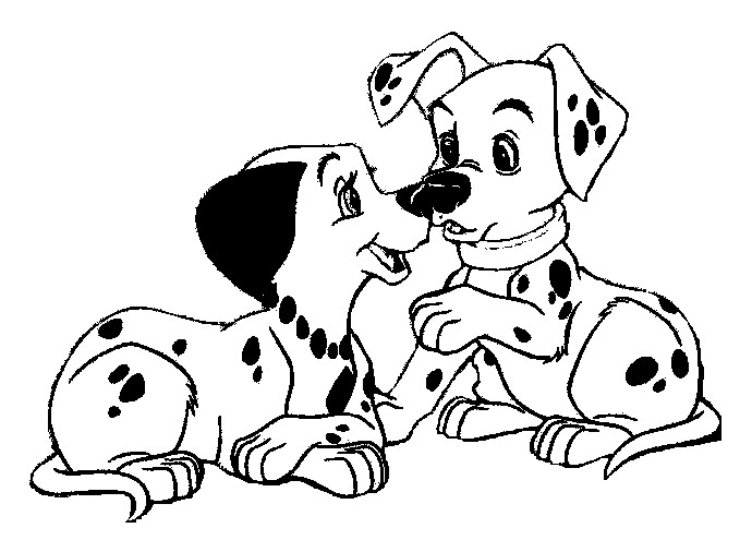 Perro #7855