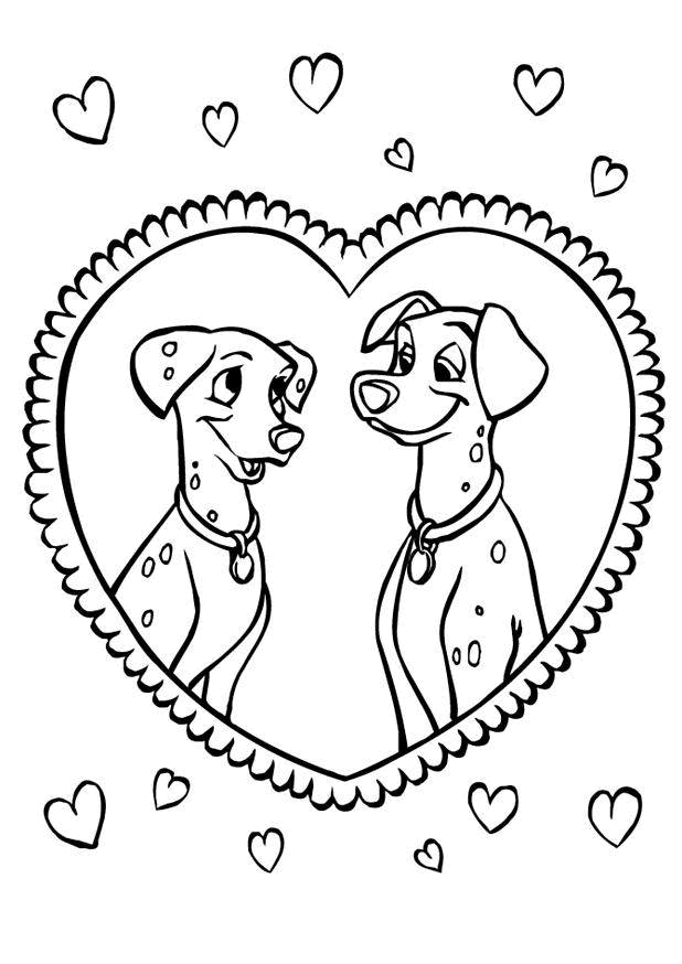 Perro #7857