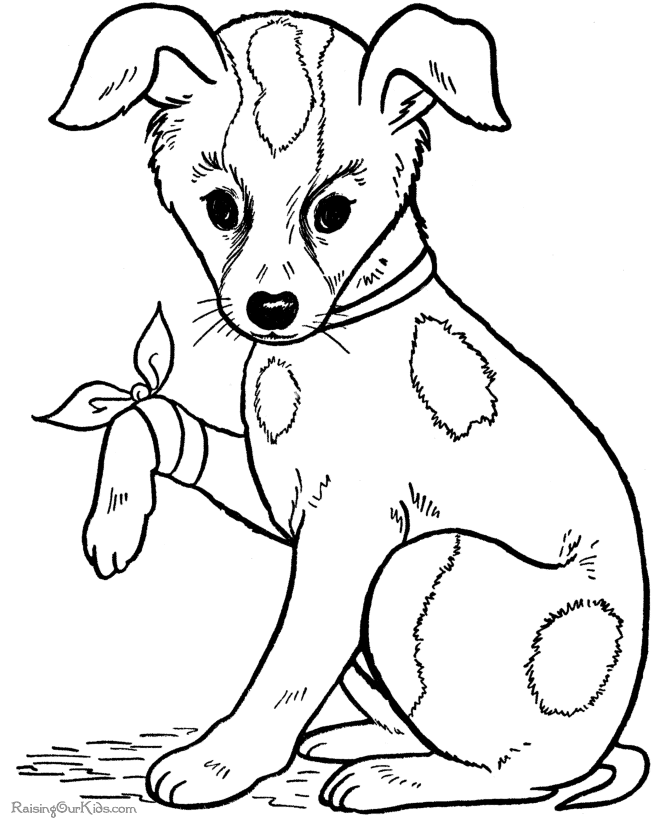 Perro #7859