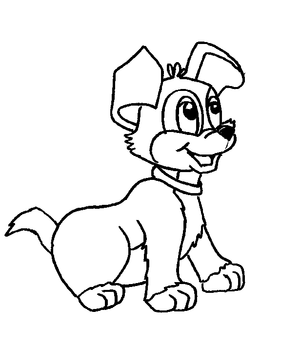 Perro #7864