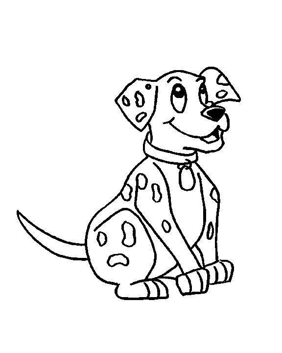 Perro #7868