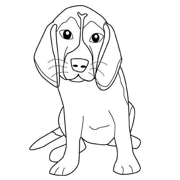 Perro #7871