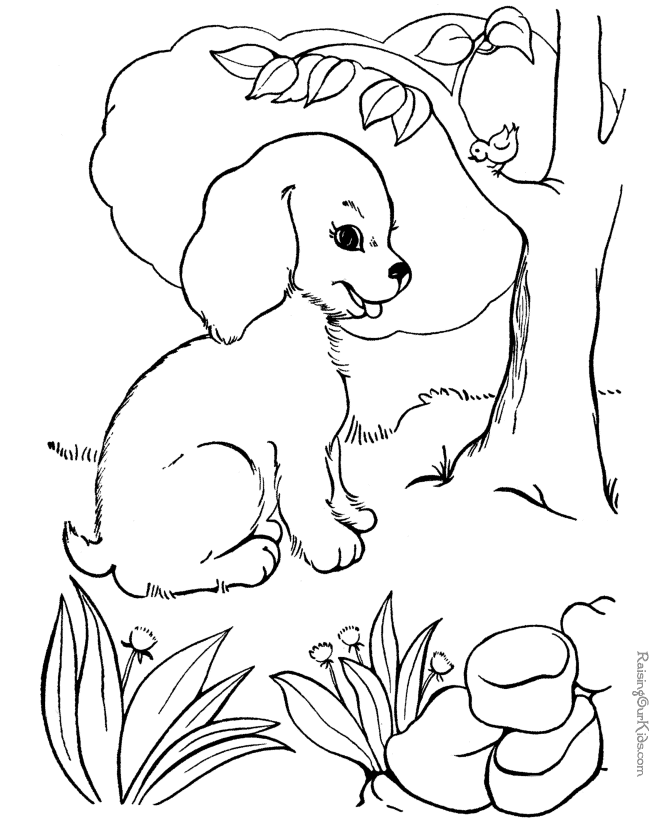 Perro #7874