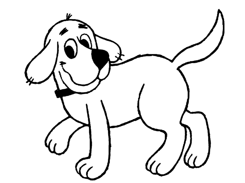 Perro #7877