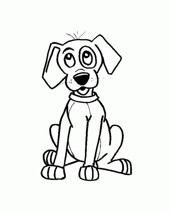 Perro #7882