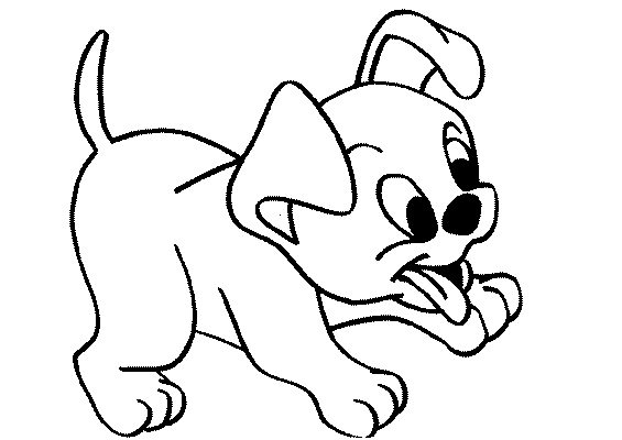 Perro #7884