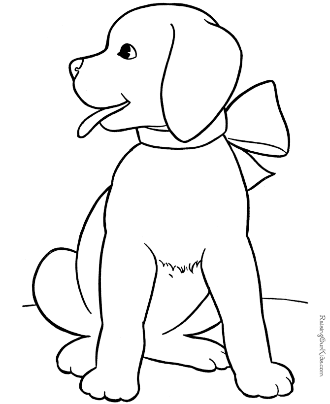Perro #7886