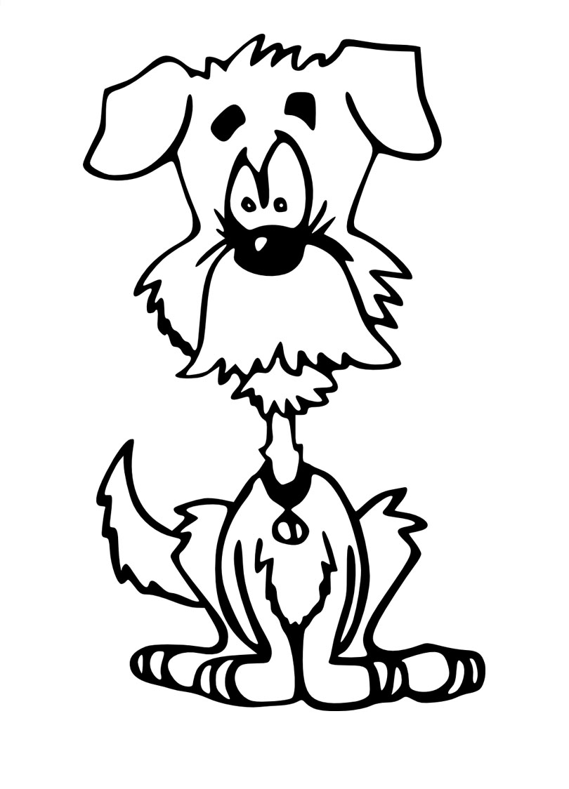 Perro #7889