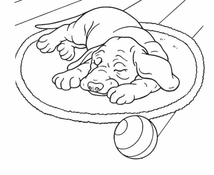Perro #7890