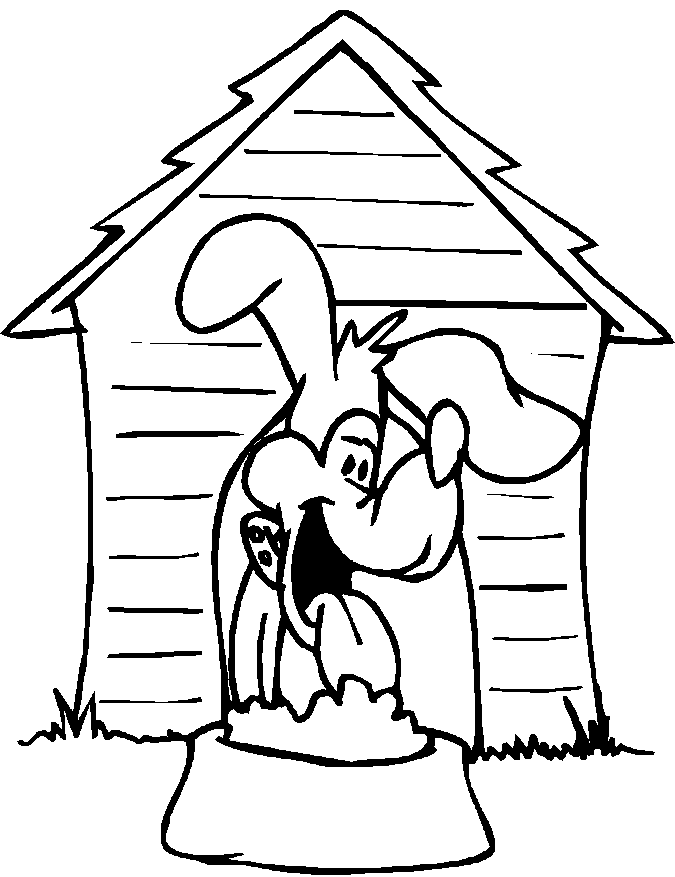 Perro #7897