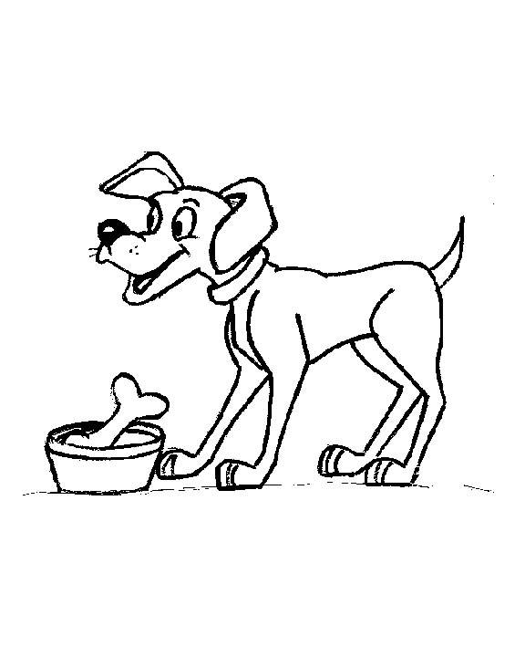 Perro #7900