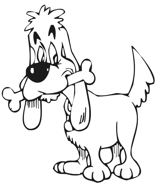 Perro #7903