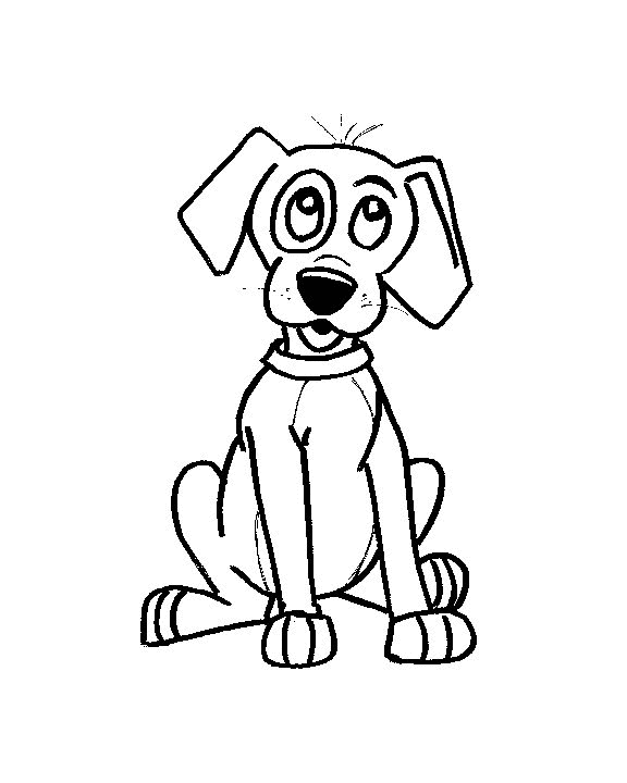 Perro #7908