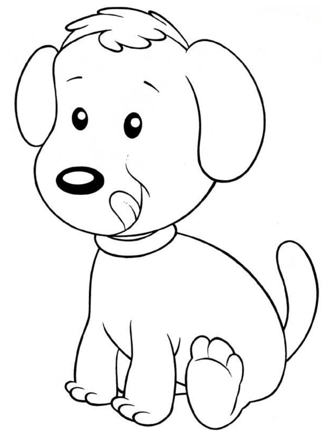 Perro #7912