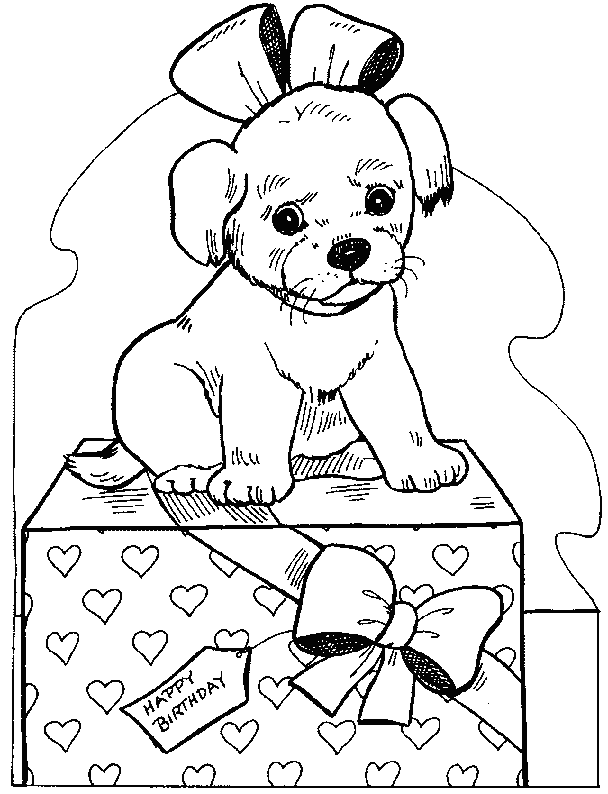 Perro #7915