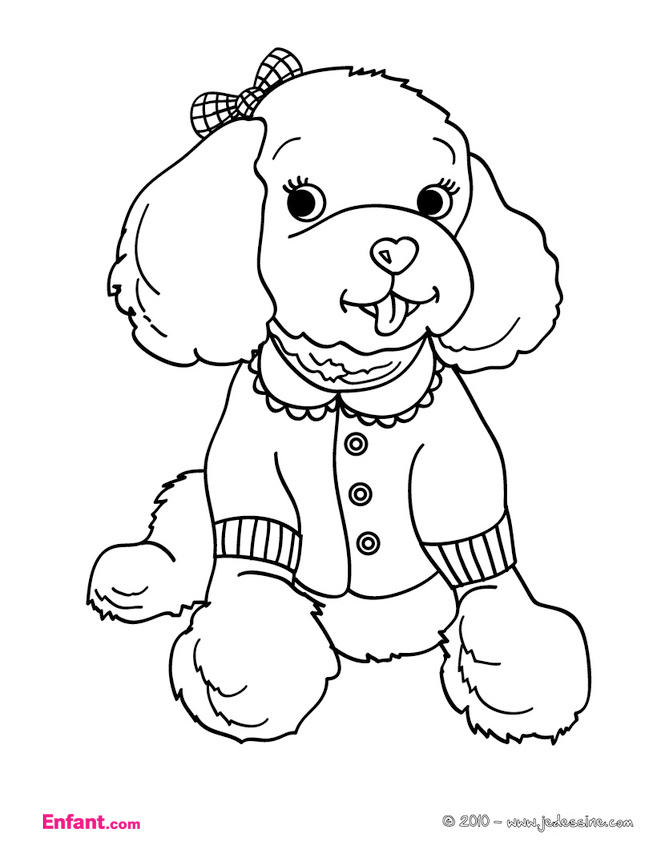 Perro #7927