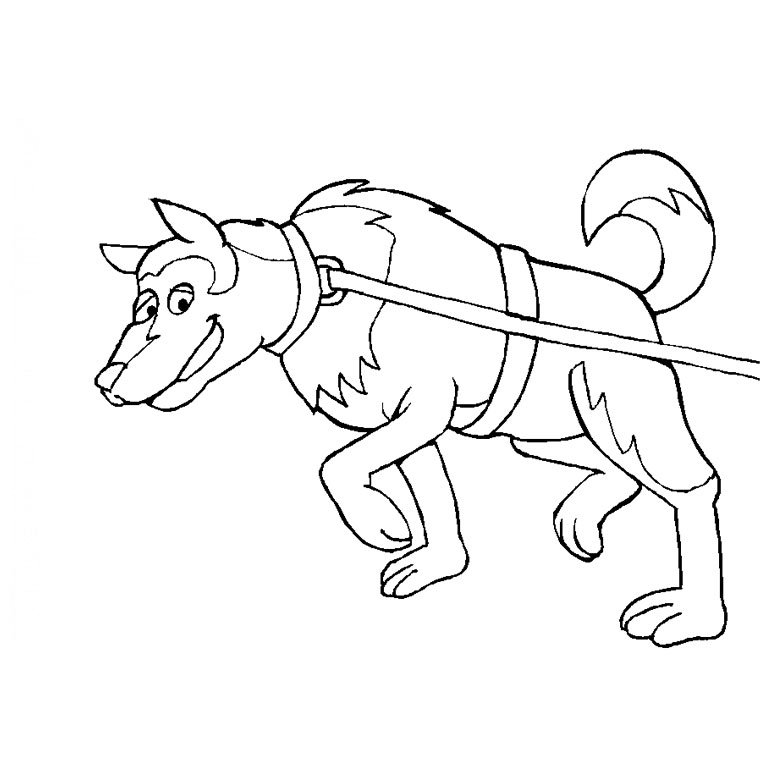 Perro #7929