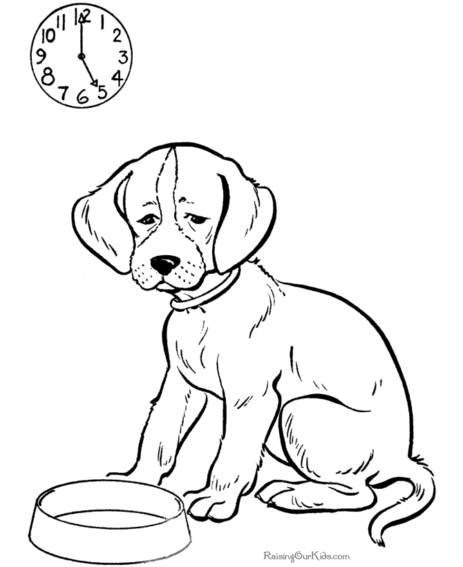 Perro #7931