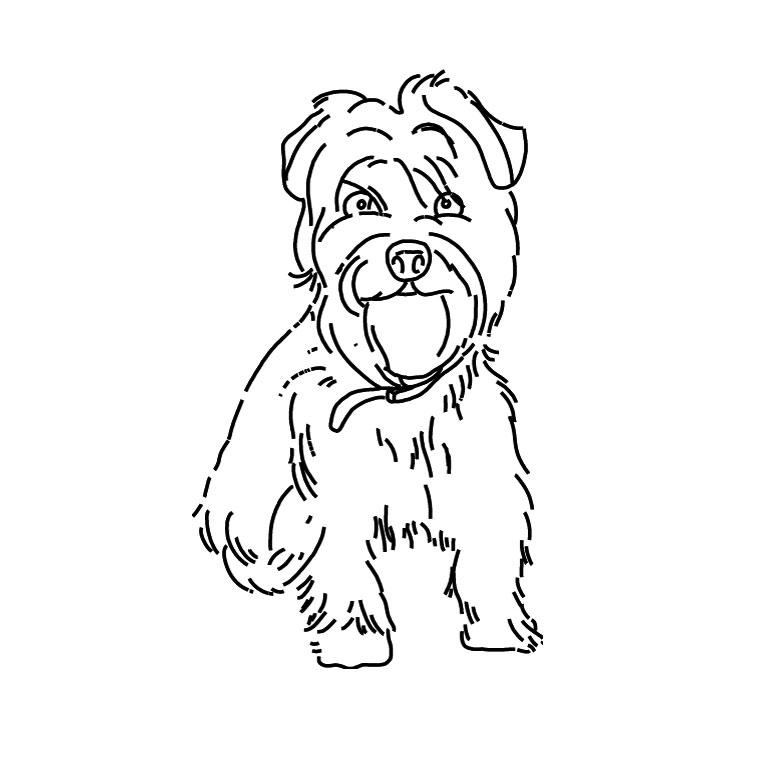 Perro #7932