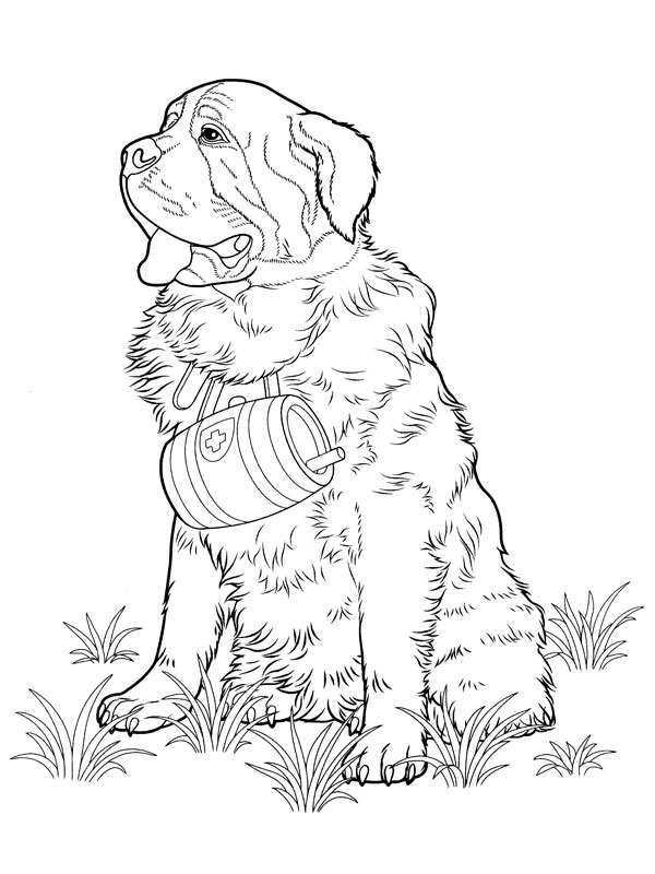 Perro #7936