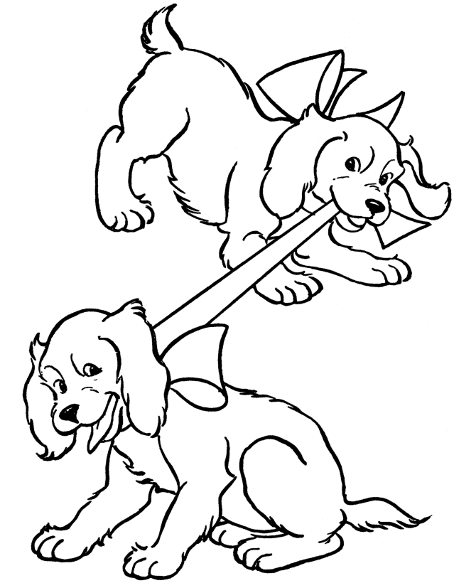 Perro #7937