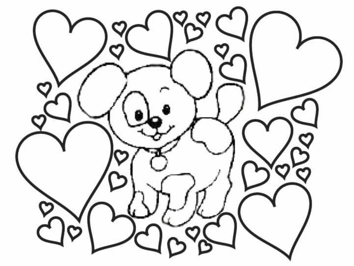 Perro #7943