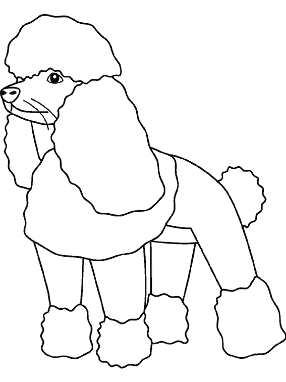 Perro #7946